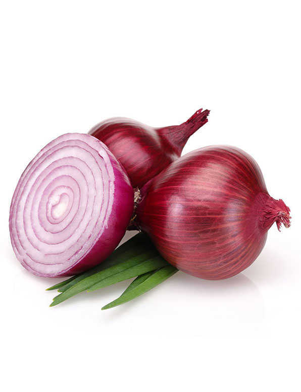 Onion Red WHOLESALE