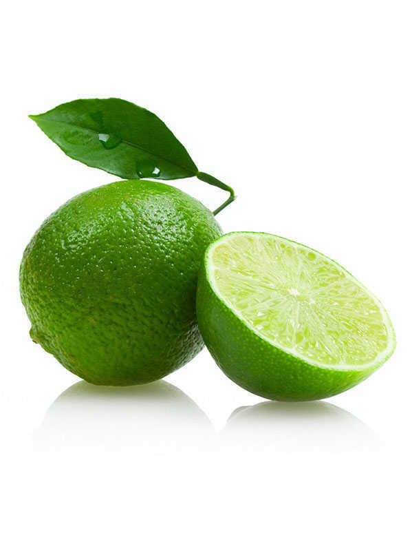 Lemon Green WHOLESALE