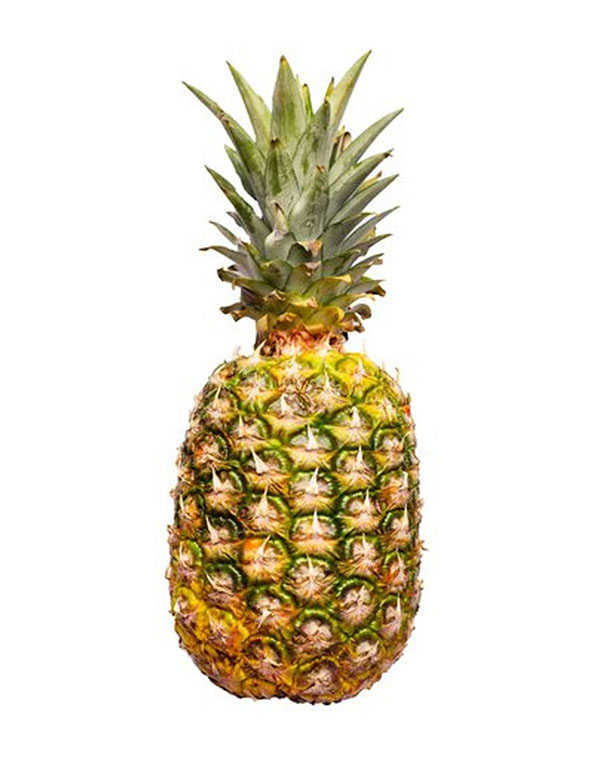 Pineapple Premium Large