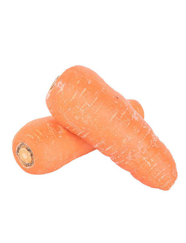 Carrot WHOLESALE